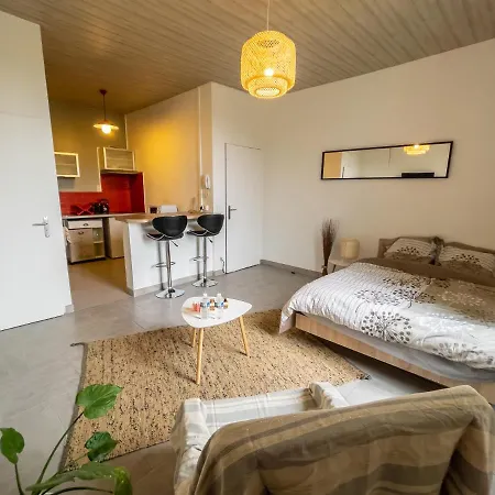 Studio Cosy Proche Centre / Gare *