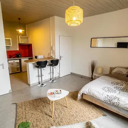 Apartament Studio Cosy Proche Centre / Gare